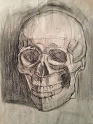 Skull  drawing for month one.