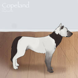 L.O.P's Copeland