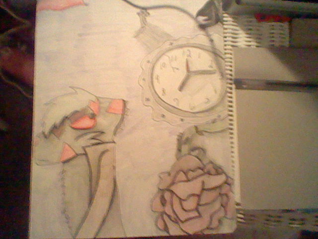Contour Line Project By Thesaturnianwildcat On Deviantart Contour Line Project By Thesaturnianwildcat On Deviantart