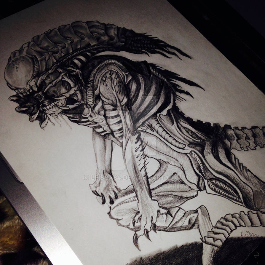 Predalien by Leissa84 on DeviantArt