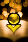 Heart by Lasiu7 Heart by Lasiu7