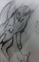 Demon Cat Sketch