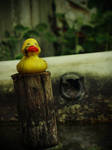 The End of a Rubber Duck by 6igella