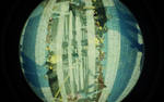 Fish eye Moscow by 6igella