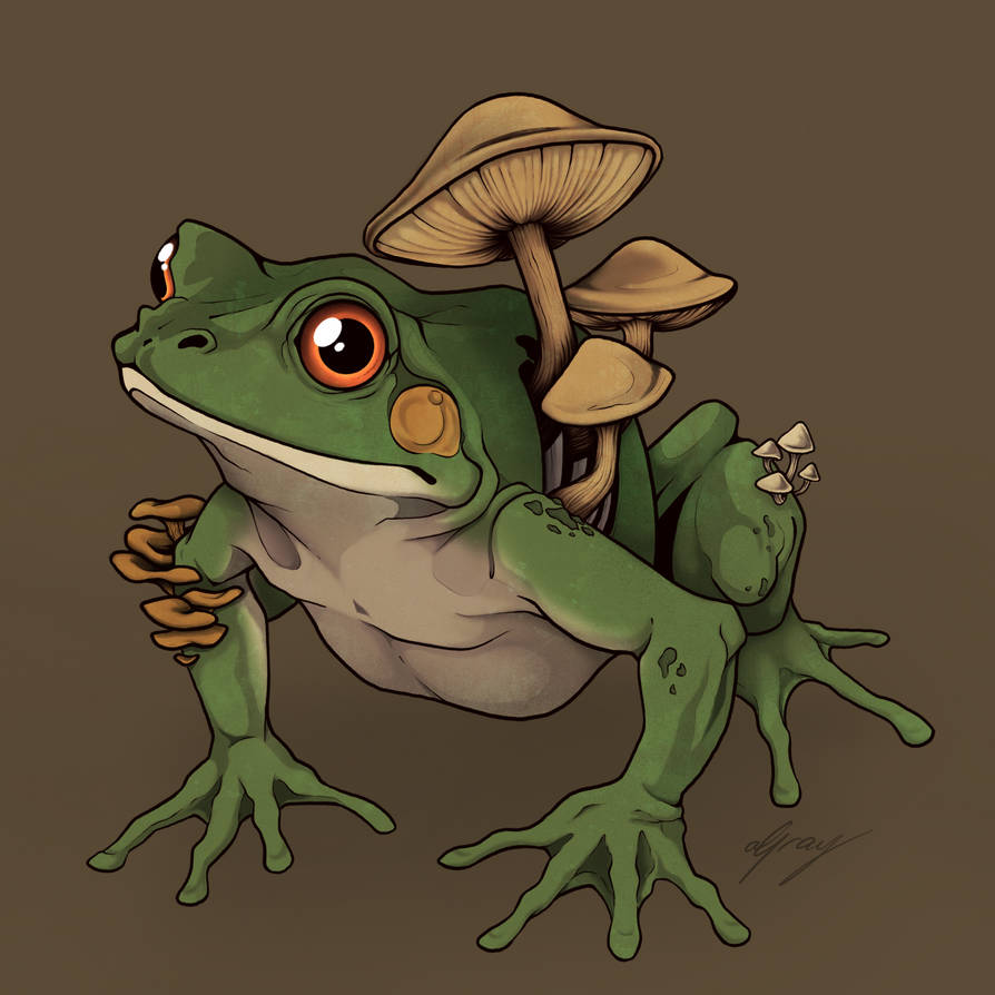 ribbit by foolish-pigeon on DeviantArt