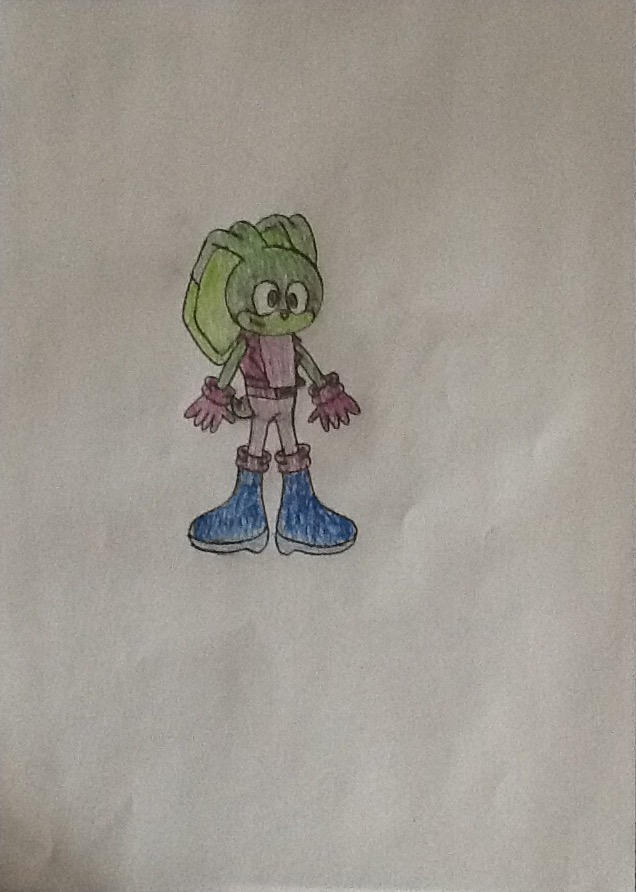 Onion the Mobian Rabbit (My New Sonic FC) by Hritz123 on DeviantArt