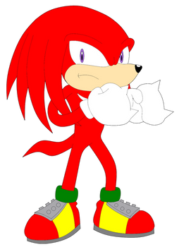 Knuckles is up for a fight!