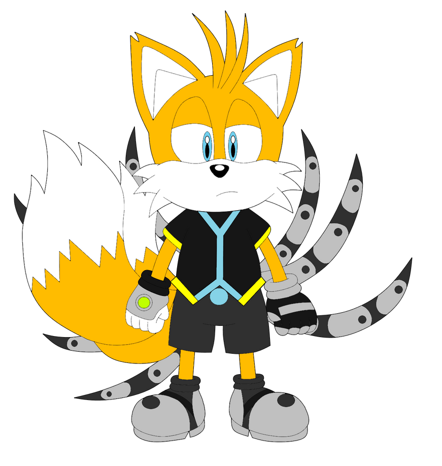 Mega 9 Tails Tails Nine by Hritz123 on DeviantArt