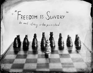 Freedom is Slavery by nickdul