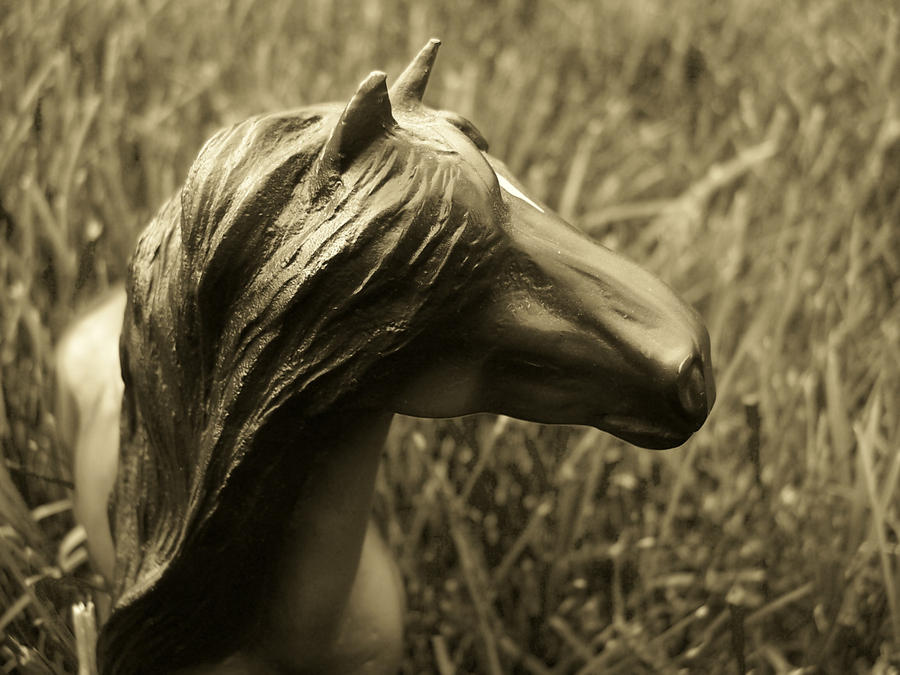 Breyer Photo Shoot No. 6