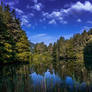 Idyll on the small lake