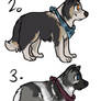 Dog adopts -closed -