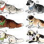 Dog adopts - closed -