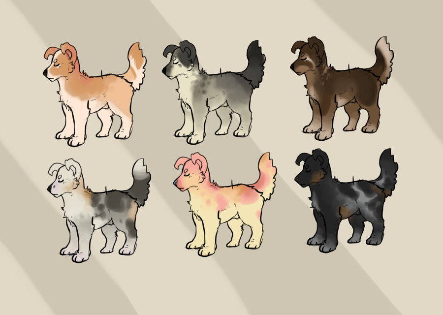 Dog adopts - open -