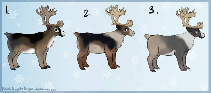 Reindeer adopts - one left -