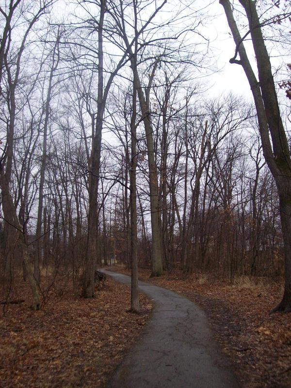 'The path less traveled' by Galialay on DeviantArt