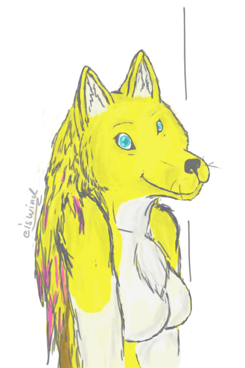 Yellow Dog