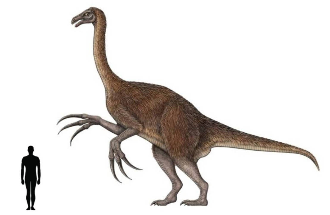 Size Comparison 2 Therizinosaurus By Marvinthegallimimus On DeviantArt size-comparison-2-therizinosaurus-by-marvinthegallimimus-on-deviantart
