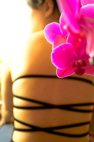 orchid 'n girl's back