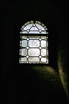 Cellar window