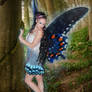 woodland fairy