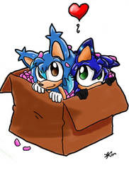 BoxHedgies Recolored