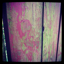 Red wood fence with mold