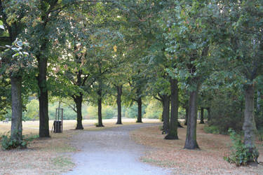 Autumn Park 3