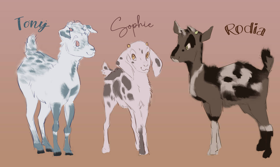 Goats | REFERENCE by FireTheWolf777 on DeviantArt