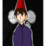 Wirt