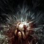 shards