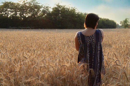 Alone in the field