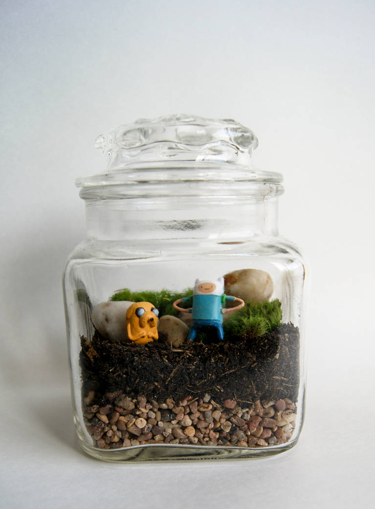 Finn and Jake Terrarium