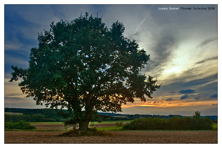 Lonely Sunset