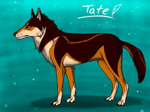 Tate