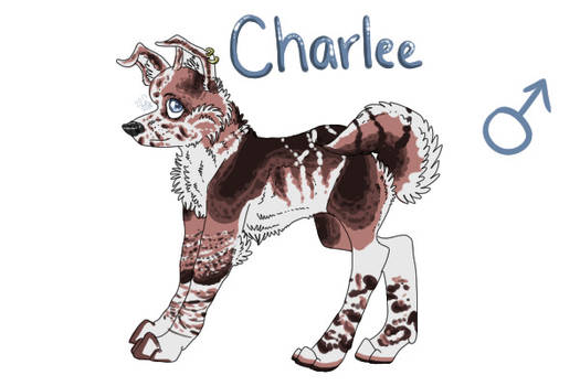 Charlee - OC Sale - CLOSED