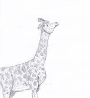 Giraffe Sketch