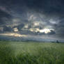 UNRESTRICTED - Stormy Field Premade