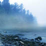 UNRESTRICTED - Misty Morning Lake