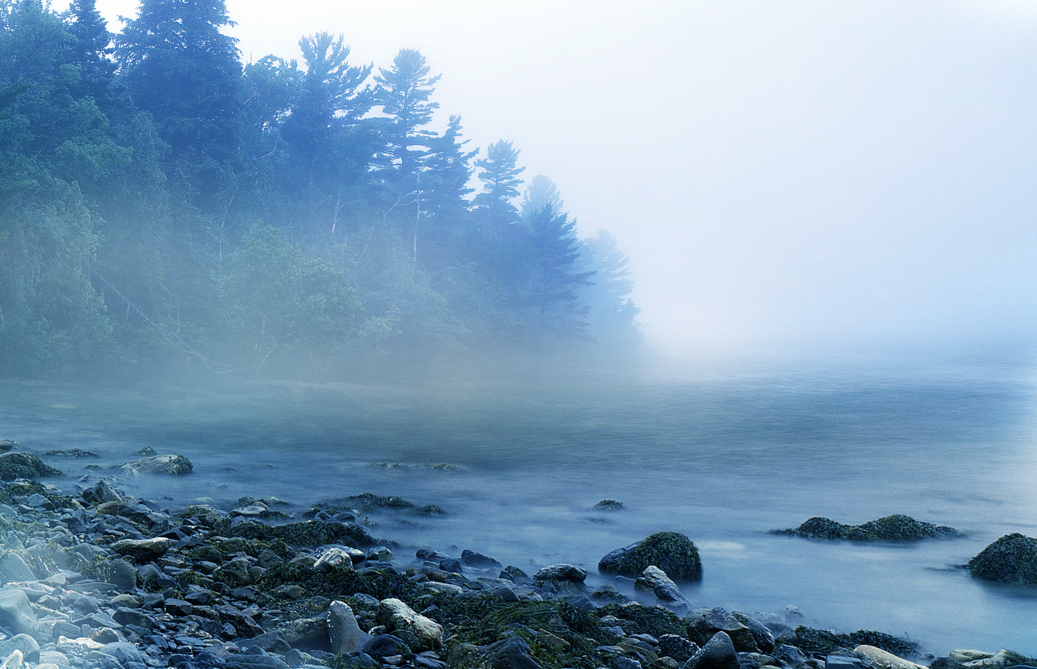 UNRESTRICTED - Misty Morning Lake