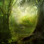 RESTRICTED - Enchanted Forest Premade