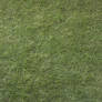 UNRESTRICTED - Grass Texture