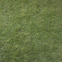 UNRESTRICTED - Grass Texture