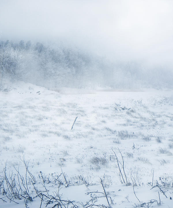 UNRESTRICTED - Winter Wonderland Premade by frozenstocks on DeviantArt
