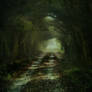 RESTRICTED - Follow the light background