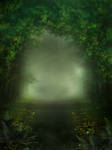 UNRESTRICTED - Mystery Woods Background 01