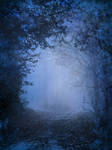 UNRESTRICTED - Mystery Woods Background 02