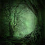 UNRESTRICTED - Mystery Woods Background 03