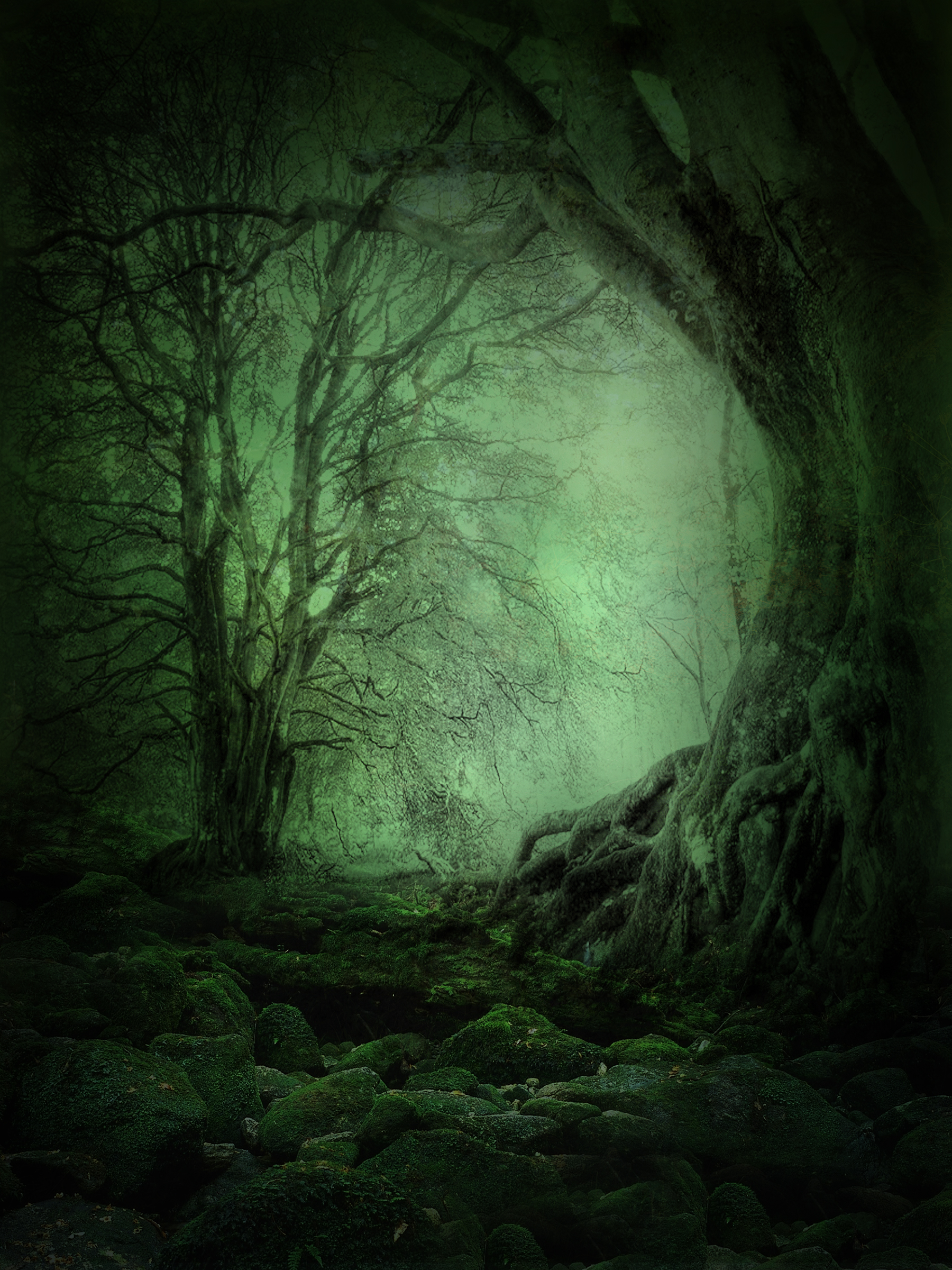 UNRESTRICTED - Mystery Woods Background 03