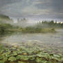 RESTRICTED - The Pond Premade Background